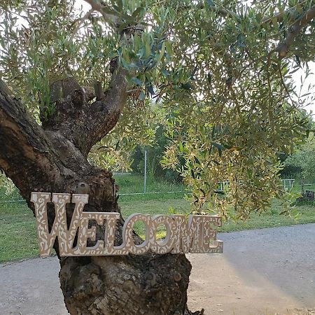 The Secret Olive House Villa Nea Michaniona Exterior photo