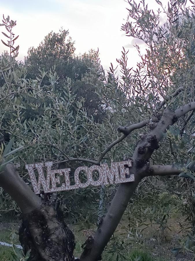 The Secret Olive House Villa Nea Michaniona Exterior photo