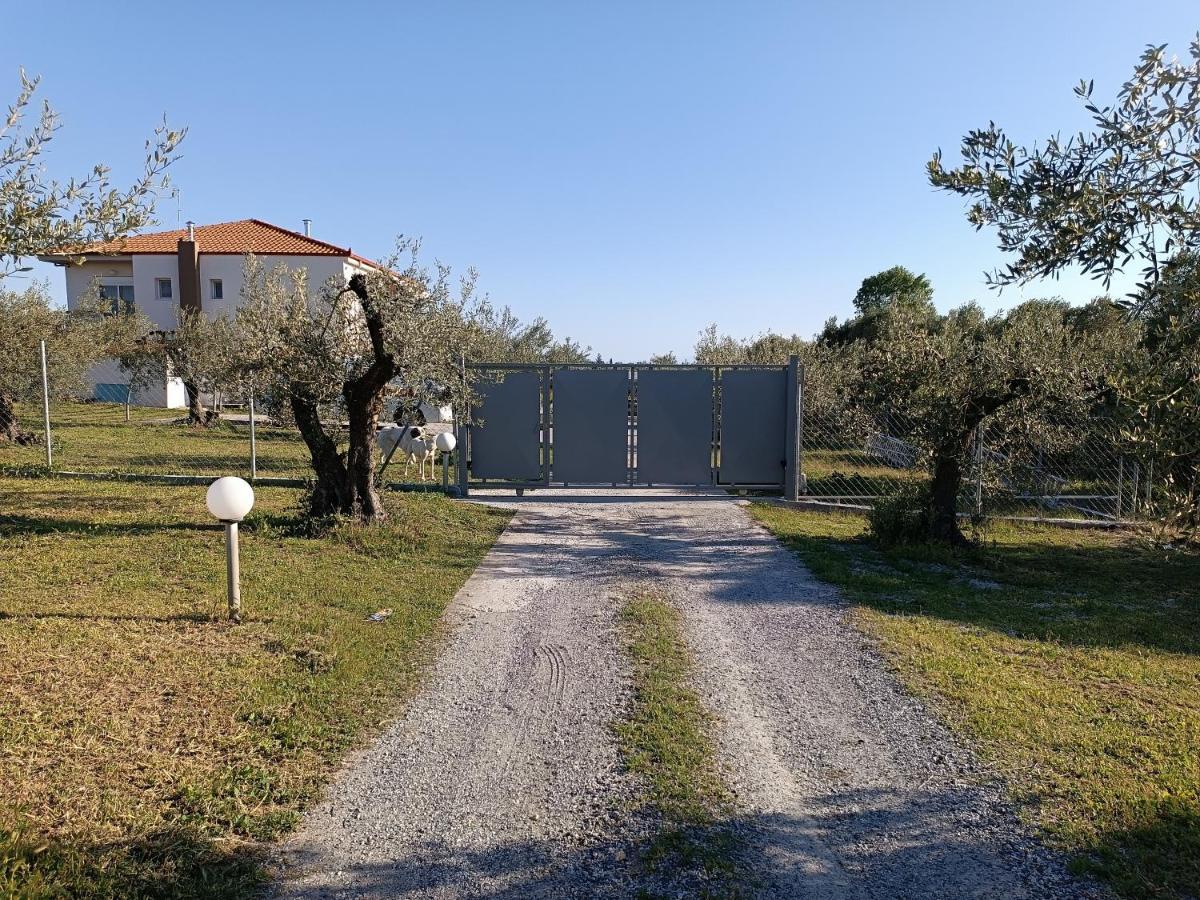 The Secret Olive House Villa Nea Michaniona Exterior photo