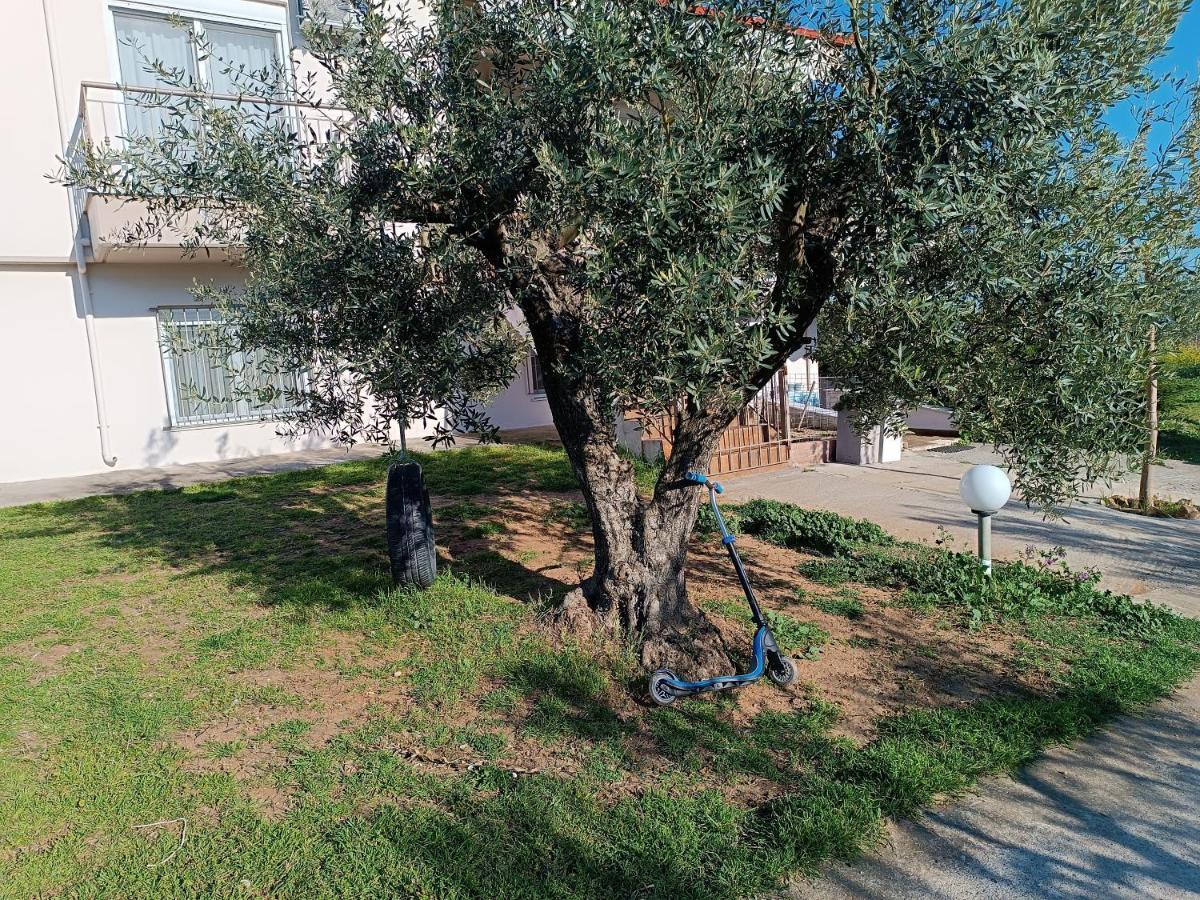 The Secret Olive House Villa Nea Michaniona Exterior photo